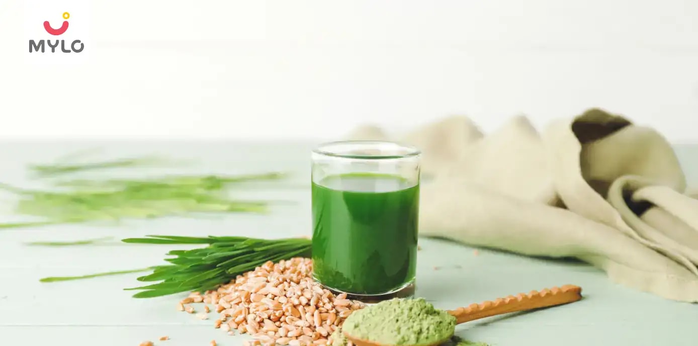 How to Take Wheatgrass Powder for Maximum Taste & Benefits