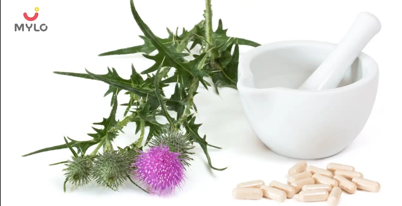 Milk Thistle in Ayurveda Unlock The Healing Potential of This Herb