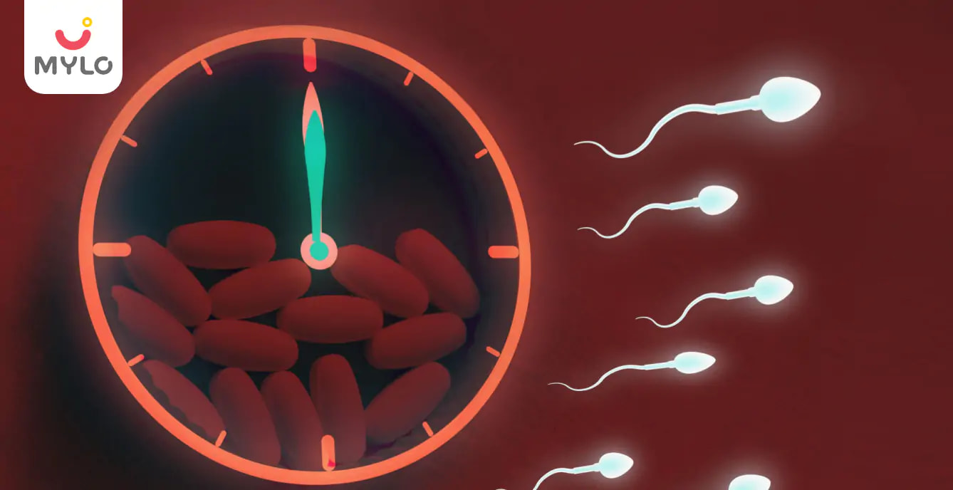 Sperm Motility and Male Fertility: What You Need to Know
