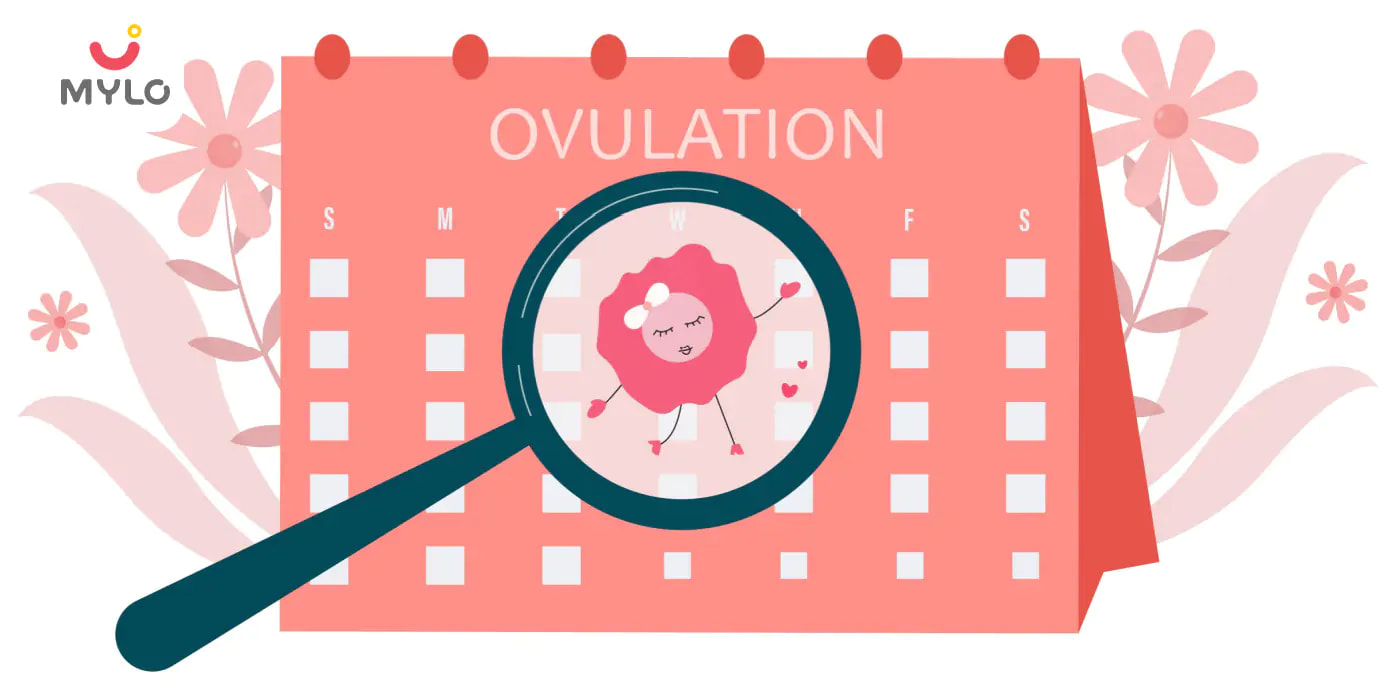 Ovulation Period in Hindi | ओव्यूलेशन पीरियड को कैसे पहचानें?  