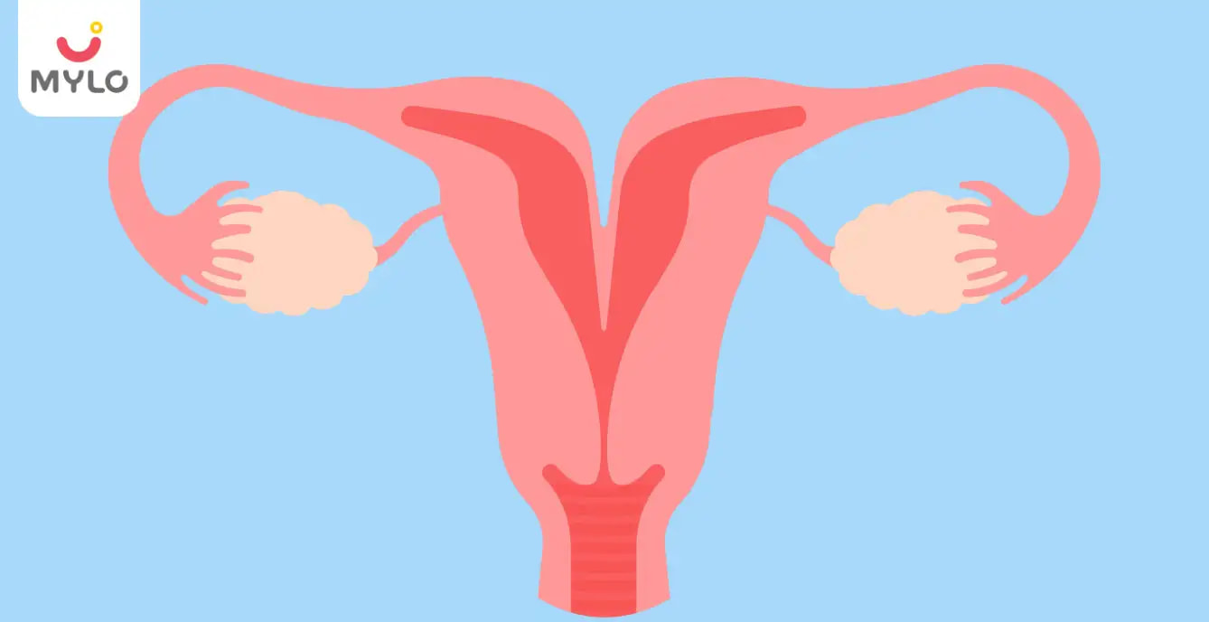 Bicornuate Uterus: Meaning, Symptoms & Risks