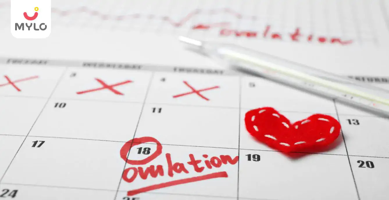 Can Late Ovulation Affect Your Chances of Pregnancy?