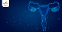 Images related to Bulky Ovaries Explained: What Every Woman Should Be Aware Of