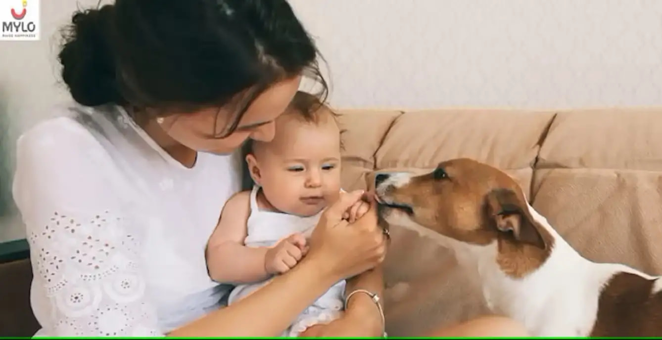 குழந்தைக்கான செல்லப்பிராணிகள்: பாதுகாப்பு, முன்னெச்சரிக்கைகள் மற்றும் பல (Pets for Baby: Safety, Precautions & More In Tamil) 