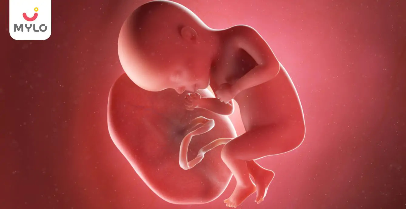 Placenta in Hindi | आख़िर क्या है लो लाइंग प्लेसेंटा? माँ और बच्चे के लिए कैसे होता है ये खतरनाक? 
