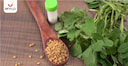 Images related to Methi Seeds Health Benefits of Fenugreek From Your Kitchen to Your Medicine Cabinet