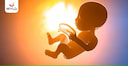 Images related to கர்ப்ப காலத்தின் போது கருவின் வளர்ச்சி மற்றும் அதன் வளர்ச்சி நிலைகள்(Fetal Growth and Development During Pregnancy  In Tamil)